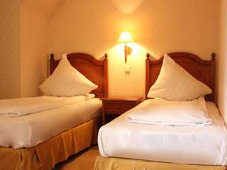 Отели типа «постель и завтрак» Rezydencja Легница Двухместный номер с 2 отдельными кроватями-1